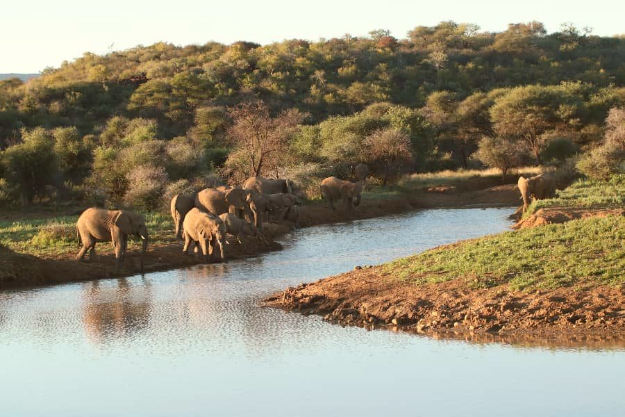 TimBila Nature Reserve by Naankuse - Elephants at waterhole